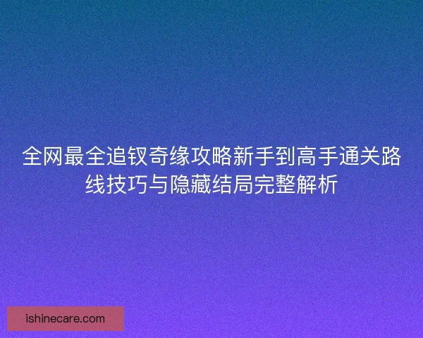 全网最全追钗奇缘攻略新手到高手通关路线技巧与隐藏结局完整解析
