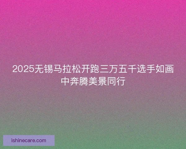 2025无锡马拉松开跑三万五千选手如画中奔腾美景同行